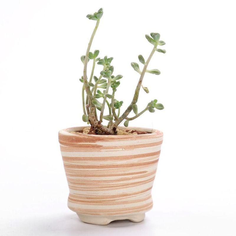 Mirage Flower Pots - Pots &amp; Planters - YALA LIFE