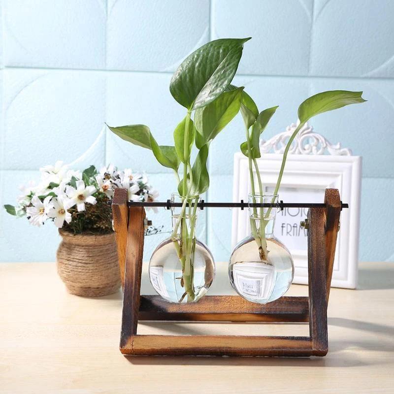 Terrarium Planter - Pots &amp; Planters - YALA LIFE
