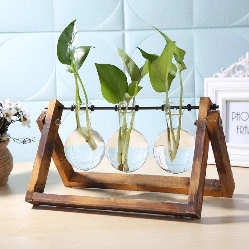 hydroponic planter pots Glass and Wood Hydroponics Vase Planter Desktop Terrarium